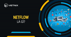 Netflow la gi