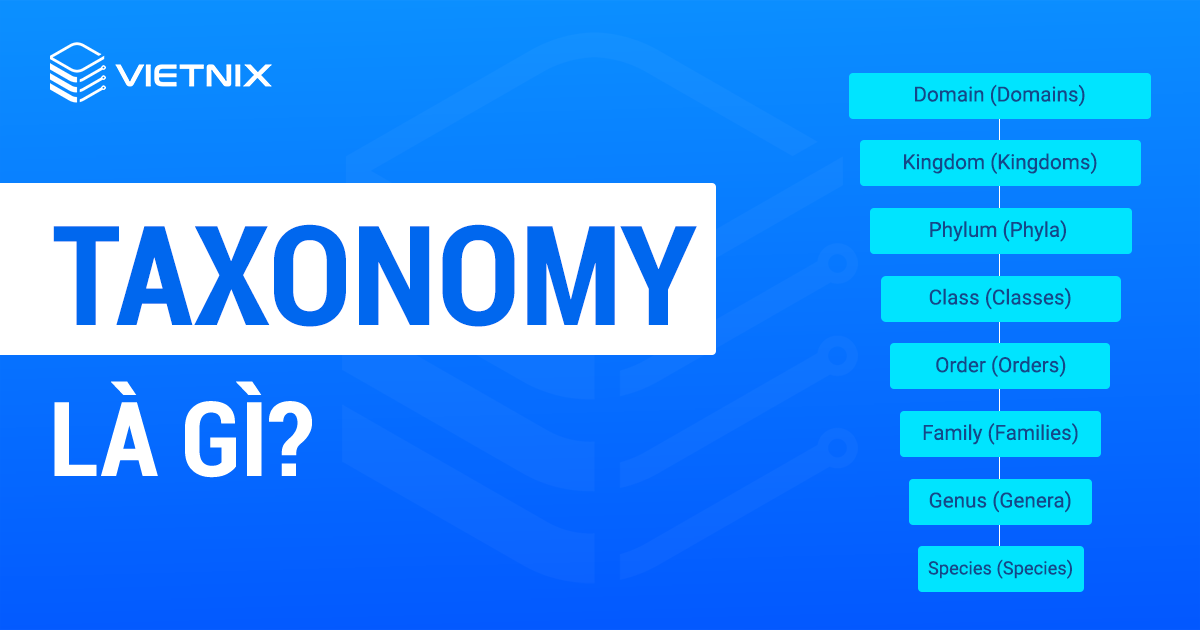 Taxonomy là gì