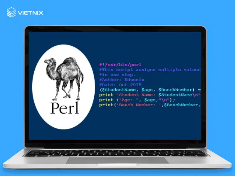 Perl là gì? Ứng dụng của ngôn ngữ lập trình Perl 41 Perl là gì?