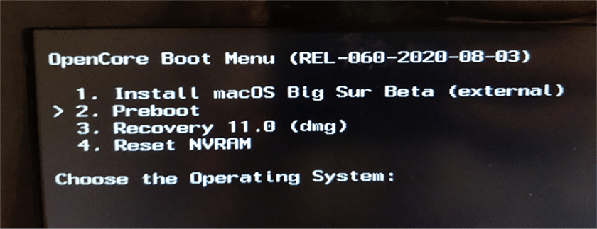 OpenCore là gì? Cách cài đặt Hackintosh bằng OpenCore nhanh chóng 19 image 61