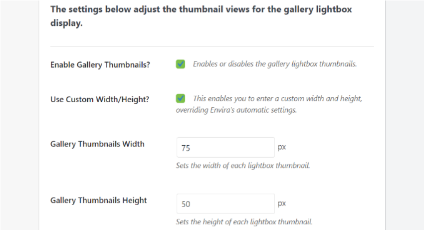 Cách tạo image gallery trong WordPress bằng Envira nhanh chóng, dễ dàng 26 Cài đặt thumbnail cho lightbox