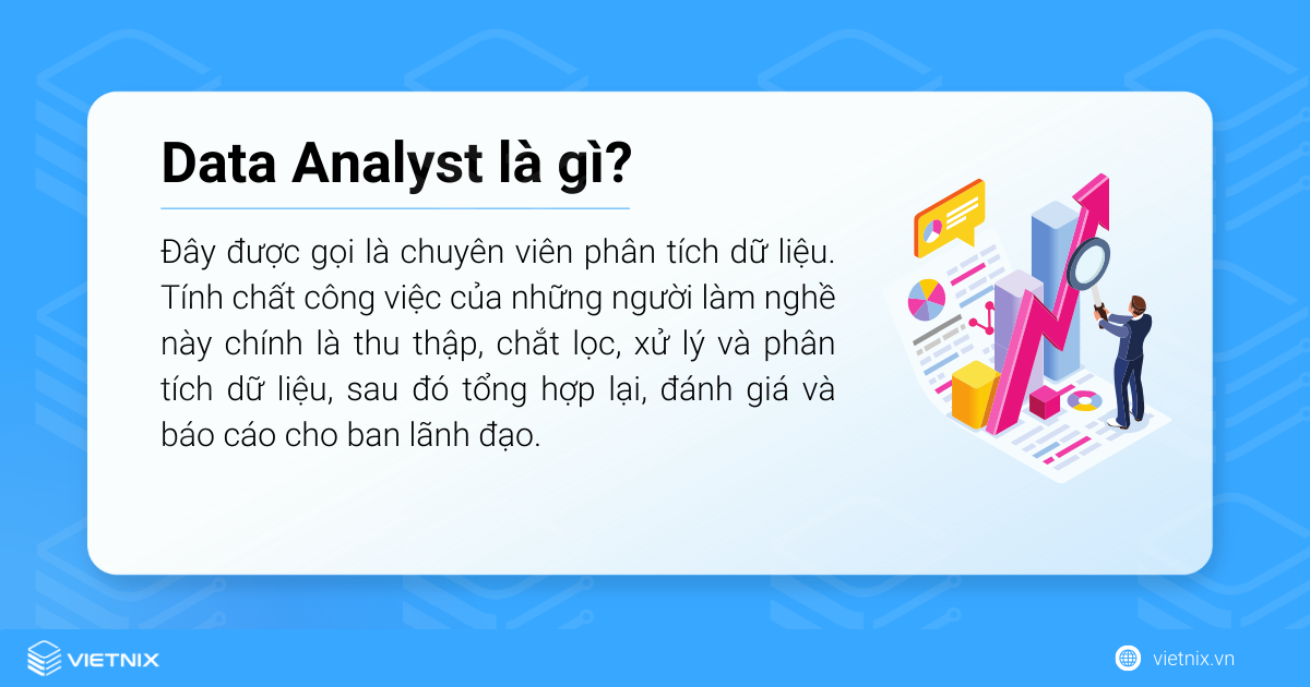 Data Analyst là một chuyên viên phân tích dữ liệu