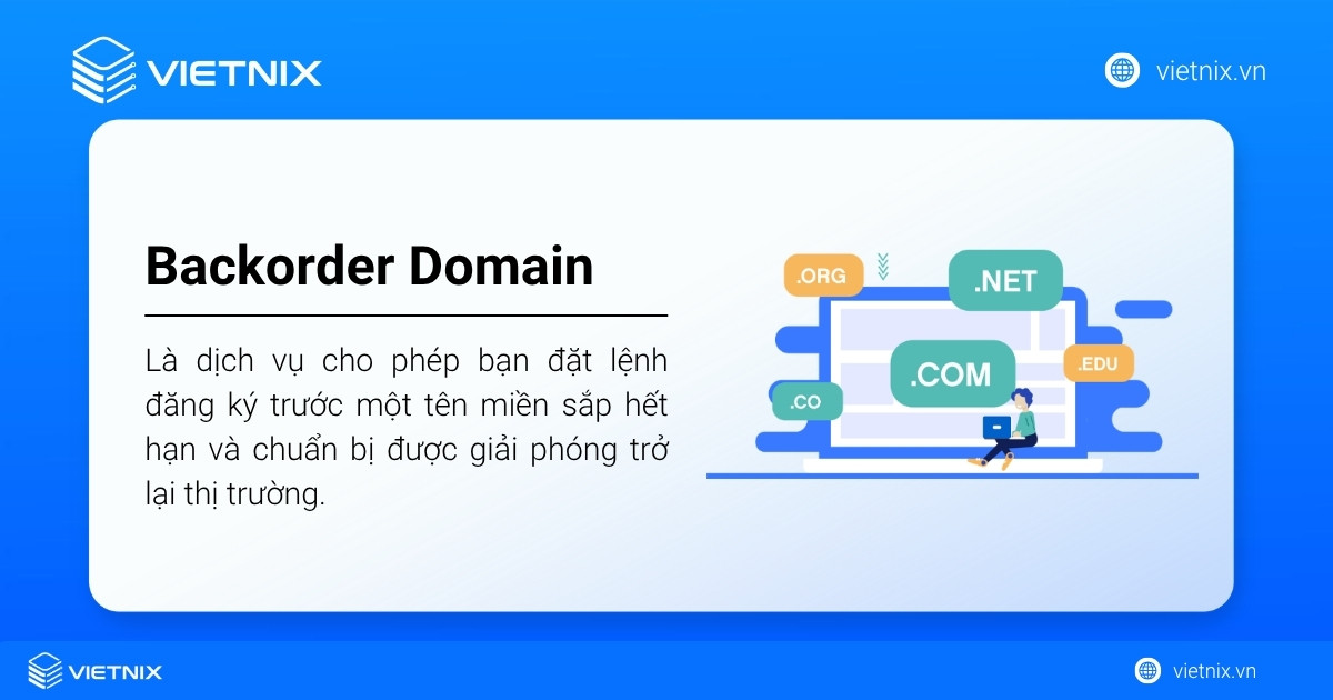 Backorder Domain là gì? Cách chọn dịch vụ giữ chỗ tên miền uy tín 19 backorder domain 1 1
