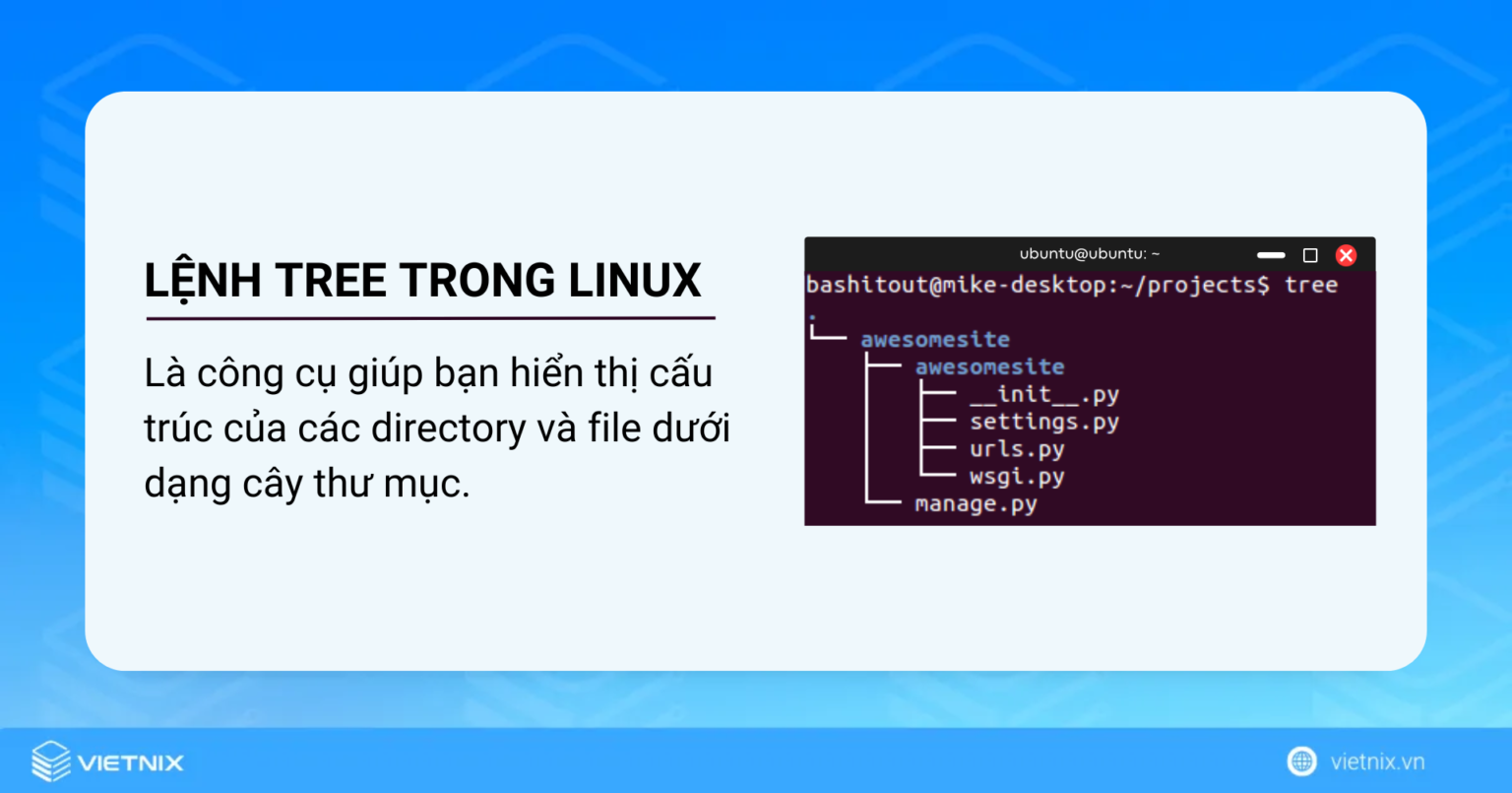Sử dụng thành thạo lệnh tree trong Linux với 12 ví dụ cụ thể