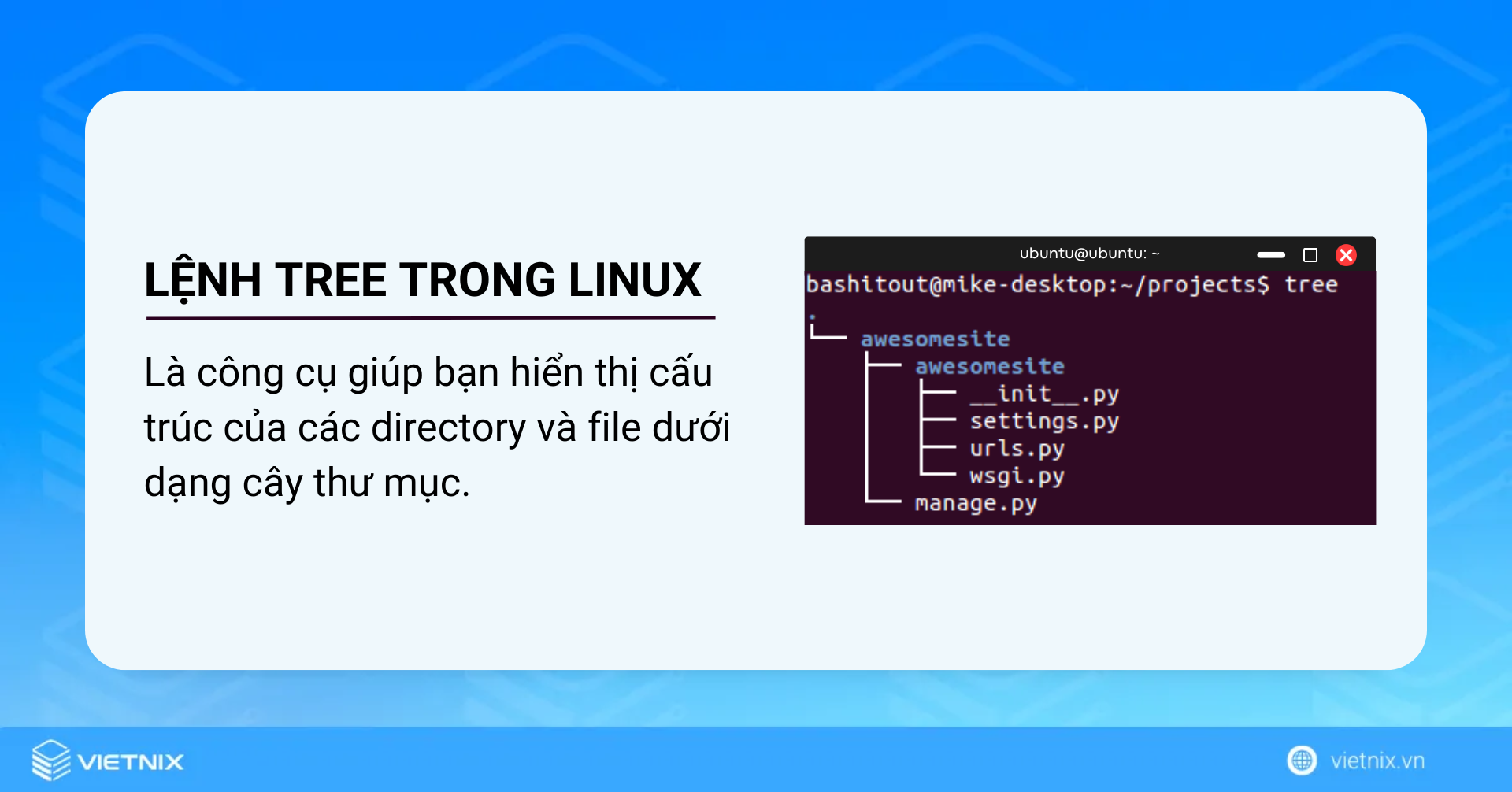 Lệnh tree trong Linux là công cụ giúp bạn hiển thị cấu trúc của các directory và file dưới dạng cây