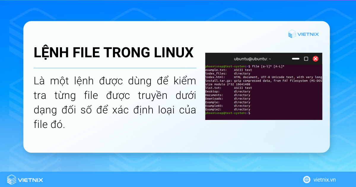 Lệnh file trong Linux kiểm tra từng file được truyền dưới dạng đối số