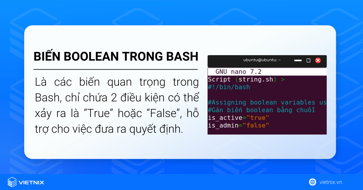 Biến boolean trong Bash là các biến chứa 2 điều kiện là "True" hoặc "False"