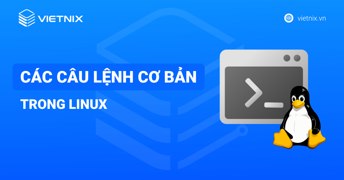 Các câu lệnh cơ bản trong linux