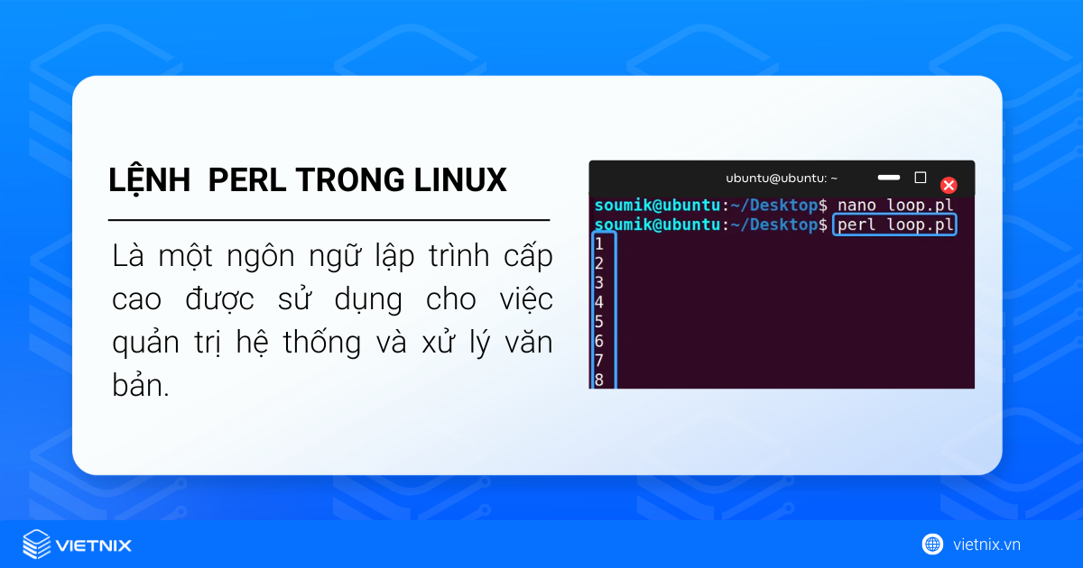 Lệnh perl trong Linux được sử dụng cho việc quản trị hệ thống và xử lý văn bản