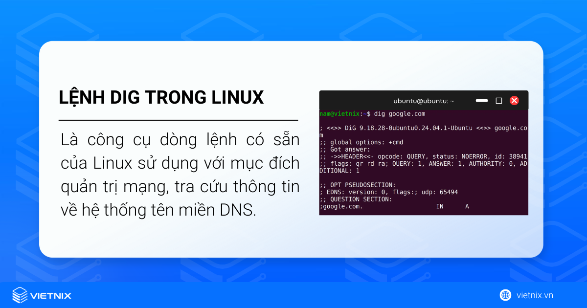 Lệnh dig trong Linux được dùng để quản trị mạng và tra cứu thông tin