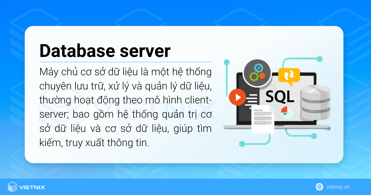 Database server (máy chủ cơ sở dữ liệu) 