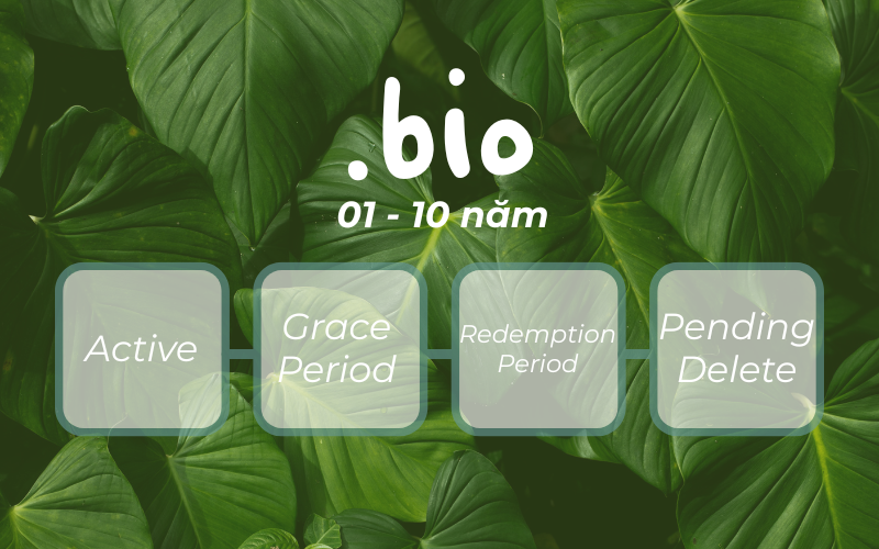 Thời hạn và vòng đời của tên miền .bio Thời hạn và vòng đời của tên miền .bio