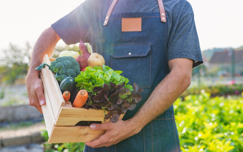 Các chiến dịch truyền thông về lối sống xanh cũng có thể sử dụng tên miền .bio Các chiến dịch truyền thông về lối sống xanh cũng có thể sử dụng tên miền .bio