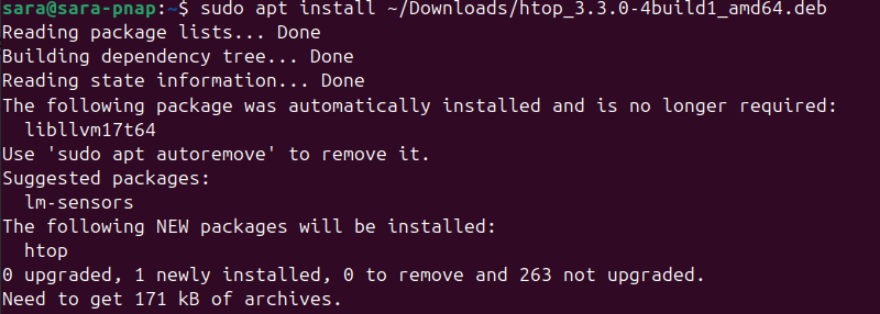 Hướng dẫn cài đặt file deb trên Ubuntu cho người mới bắt đầu – Đơn giản, hiệu quả và an toàn 28 Dùng dòng lệnh apt để tải file deb