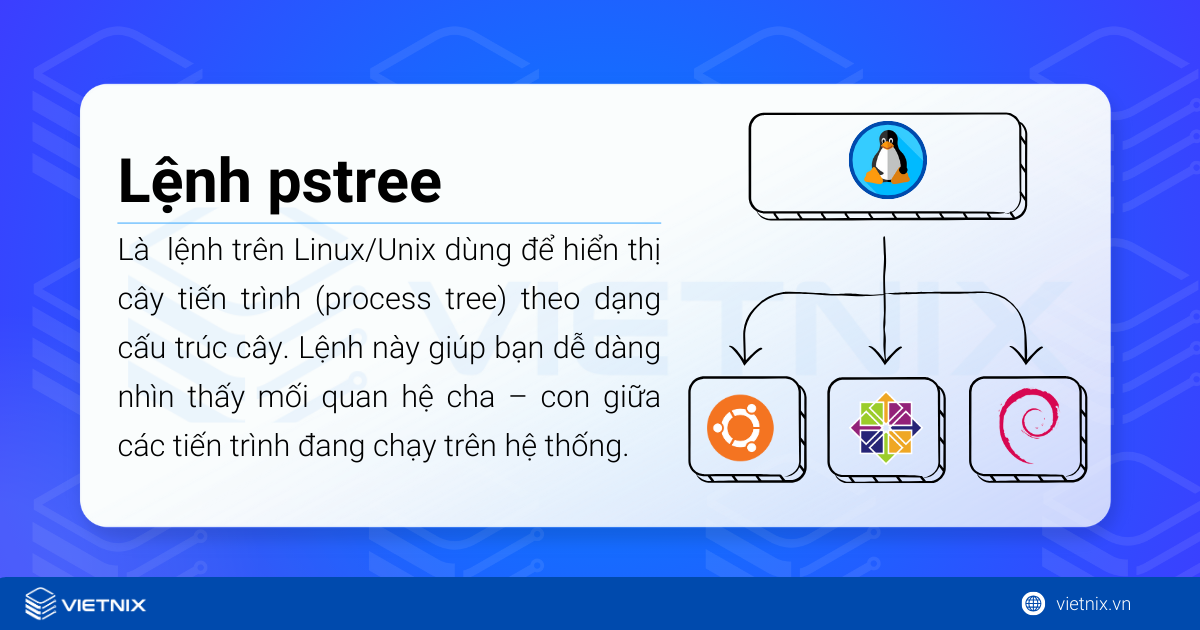 Hướng dẫn sử dụng lệnh pstree trên Linux đơn giản, chi tiết 17 pstree là một lệnh trên Linux/Unix dùng để hiển thị cây tiến trình (process tree)