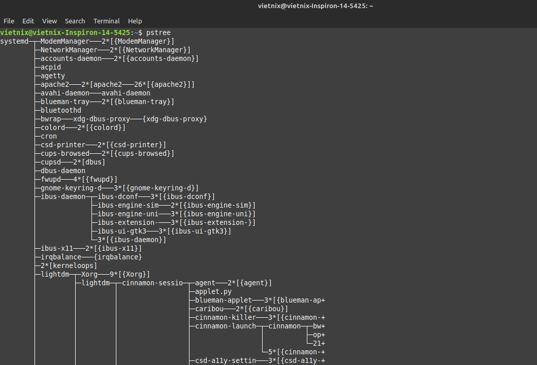 Hướng dẫn sử dụng lệnh pstree trên Linux đơn giản, chi tiết 18 image 139