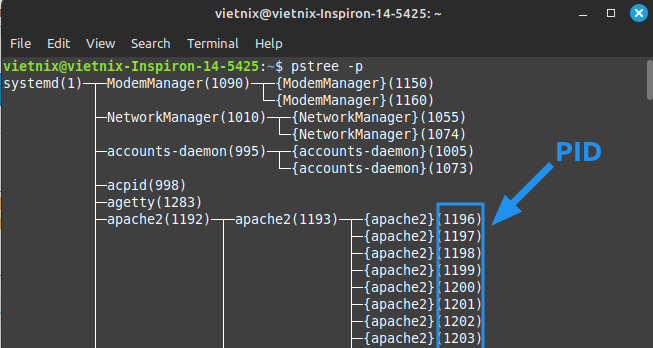 Hướng dẫn sử dụng lệnh pstree trên Linux đơn giản, chi tiết 19 image 140