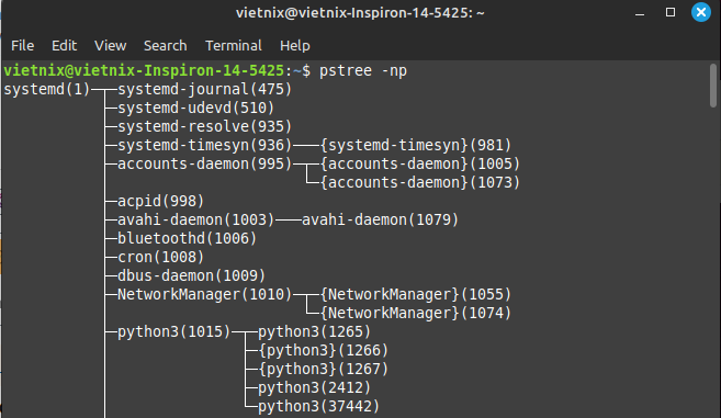 Hướng dẫn sử dụng lệnh pstree trên Linux đơn giản, chi tiết 20 image 141