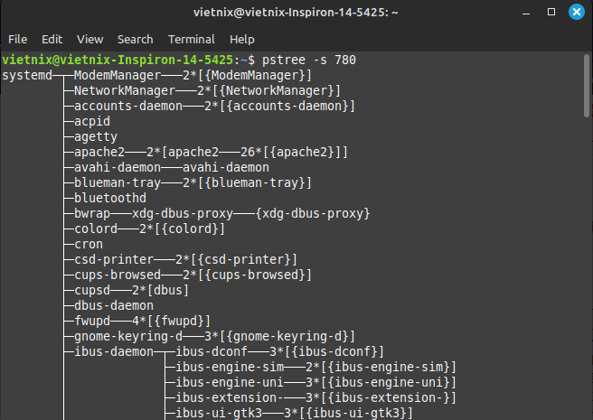Hướng dẫn sử dụng lệnh pstree trên Linux đơn giản, chi tiết 22 image 143