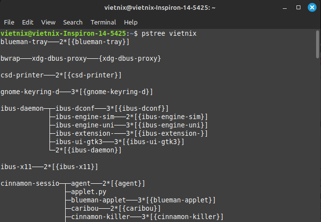 Hướng dẫn sử dụng lệnh pstree trên Linux đơn giản, chi tiết 23 image 144