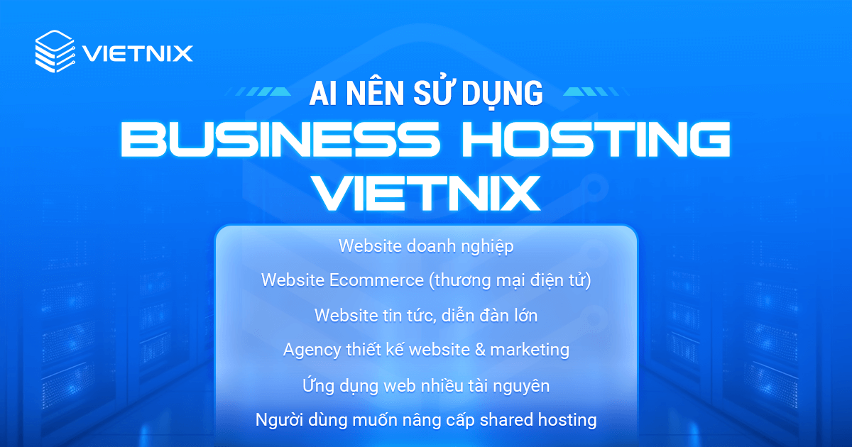 Business Hosting 2025 - Hosting Doanh Nghiệp Giá Rẻ, Tốc Độ Cao 4 Nhóm khách hàng nên sử dụng Business Hosing Vietnix