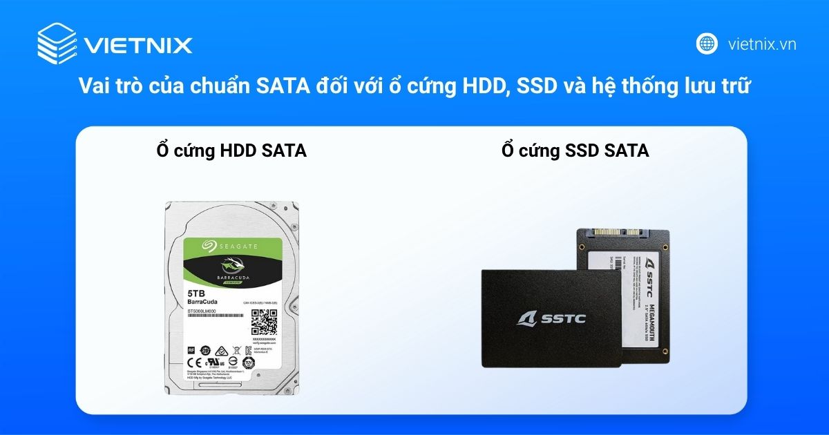SATA là gì? Tốc độ, vai trò với HDD/SSD và so sánh với NVMe 17 sata la gi 3