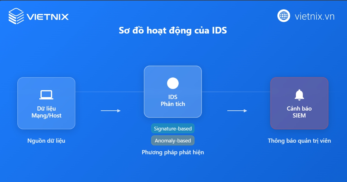 IDS là gì? Chức năng, so sánh với IPS và tường lửa chi tiết 24 Cách thức IDS hoạt động