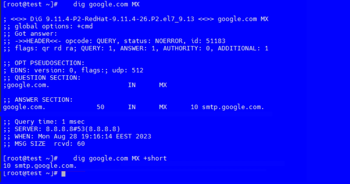 Hướng dẫn kiểm tra DNS của tên miền chi tiết 26 Kiểm tra trên macOS/Linux bằng lệnh dig