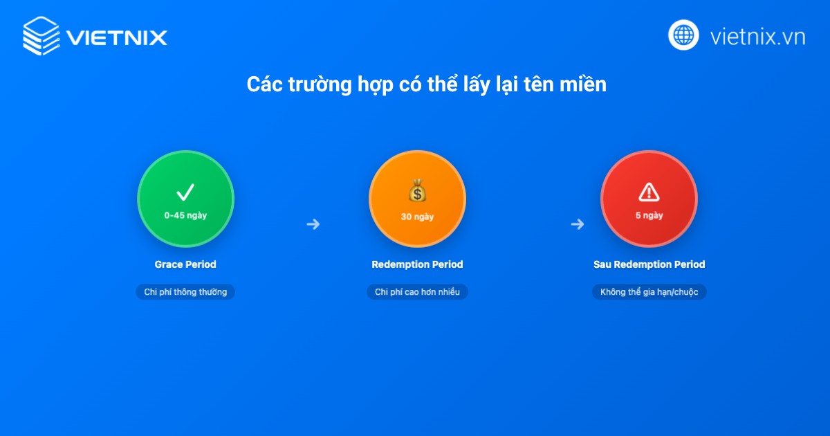 Thu hồi tên miền là gì? Nguyên nhân và cách lấy lại hiệu quả 21 thu hoi ten mien 5
