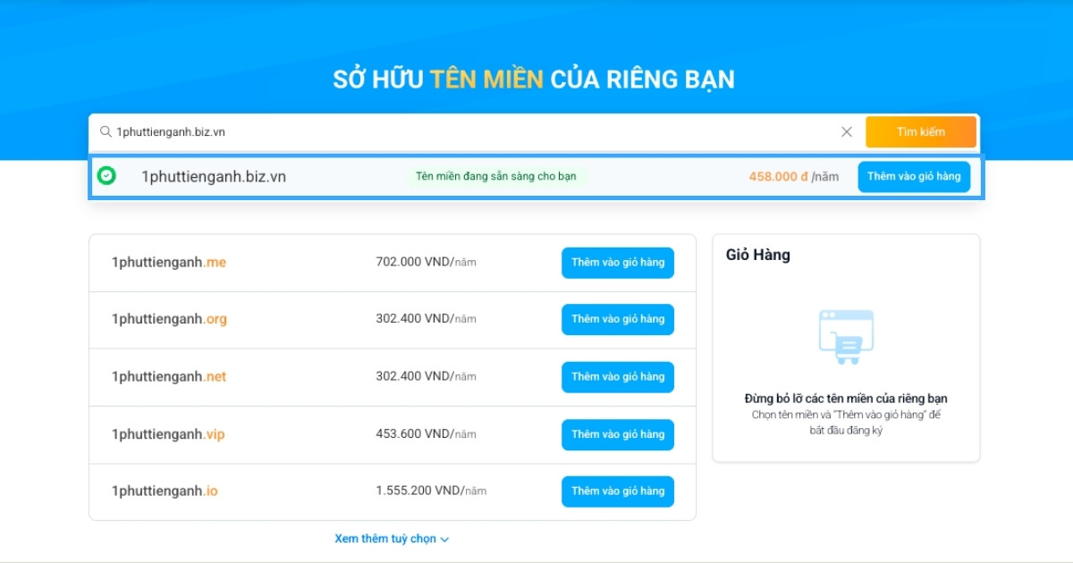 Hướng dẫn đăng ký tên miền .biz.vn nhanh chóng tại Vietnix