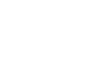 logo vietnix