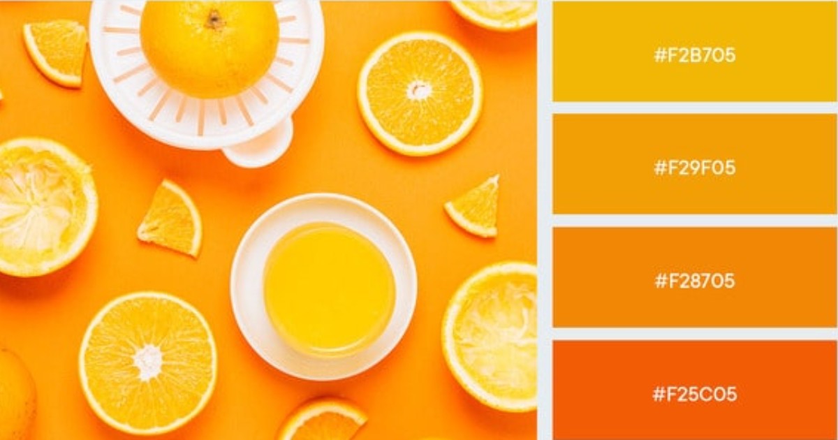 Nguyên tắc phối màu đơn sắc