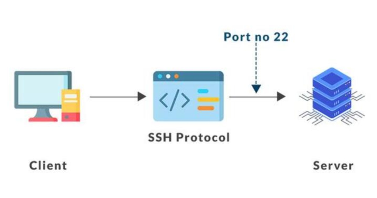 File Server là gì? Đặc điểm, phân loại và cách thức hoạt động của File Server 35 File Server FTP/SFTP (Nguồn: Internet)
