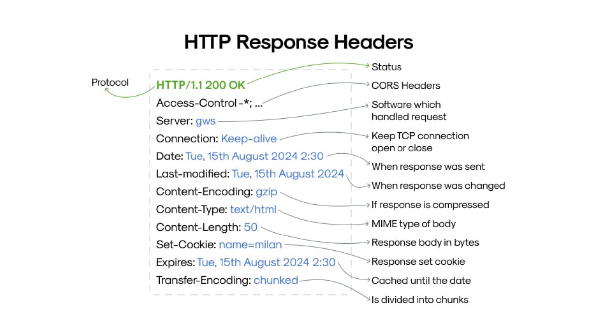 HTTP Header là gì? Ví dụ về các trường phổ biến trong Request Header 17 Response Header