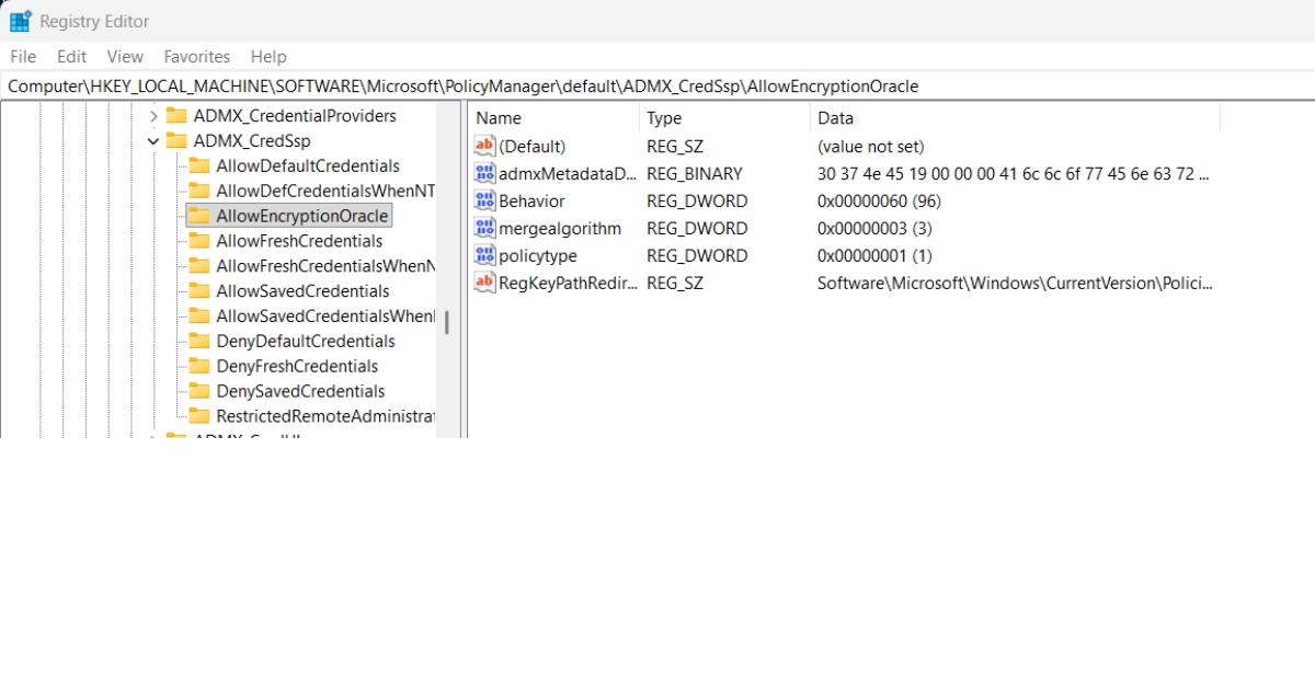 Hướng dẫn khắc phục lỗi this could be due to credssp encryption remote desktop chi tiết 45 Đặt tên cho giá trị mới là AllowEncryptionOracle