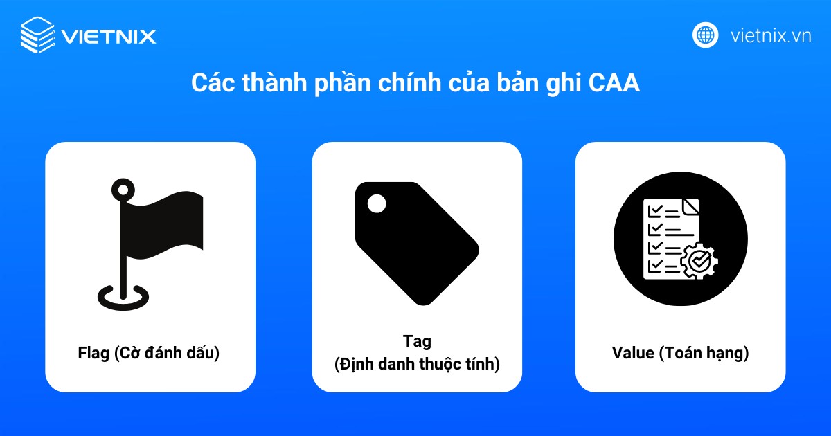 CAA Record là gì? Cơ chế và hướng dẫn cấu hình CAA Record chi tiết từ A đến Z 30 Các thành phần chính của bản ghi CAA
