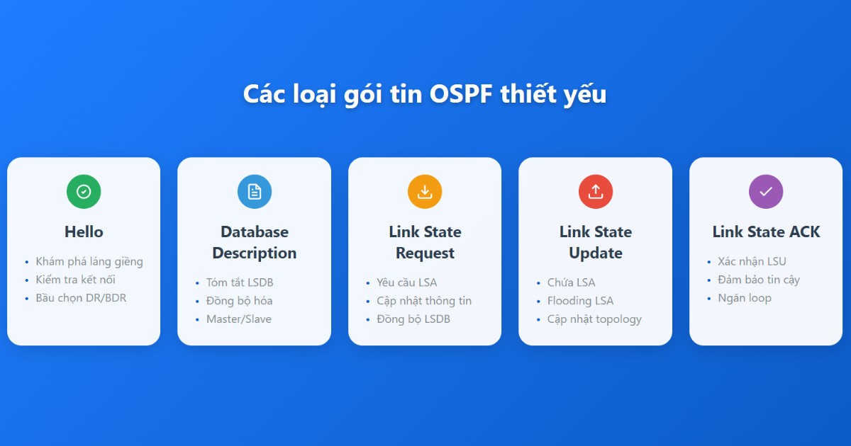 Giao thức OSPF là gì? Tìm hiểu về cách thức hoạt động của giao thức OSPF 30 Các loại gói tin OSPF
