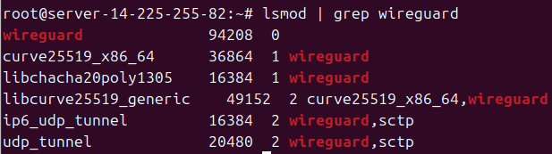WireGuard là gì? Cách cài đặt và config WireGuard nhanh chóng, chi tiết 57 Kiểm tra module đã load chưa