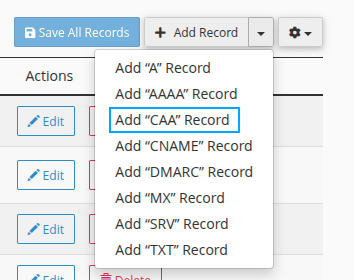 CAA Record là gì? Cơ chế và hướng dẫn cấu hình CAA Record chi tiết từ A đến Z 33 Chọn Add CAA Record.