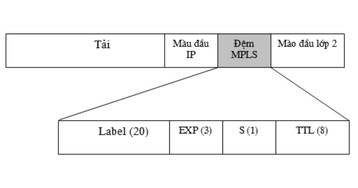 MPLS là gì? Nguyên lý hoạt động và ưu nhược điểm nổi bật của MPLS 23 Các trường cơ bản trong MPLS