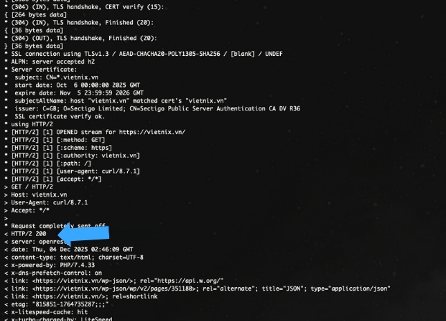 10 cách khắc phục lỗi Error 520: Web Server Is Returning an Unknown Error 31 Bạn cần quan sát phản hồi trả về để xác định có nội dung lỗi hoặc phản hồi rỗng hay không.