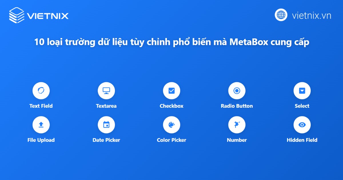Meta box hỗ trợ nhiều loại trường dữ liệu giúp tùy biến và mở rộng chức năng nhập liệu