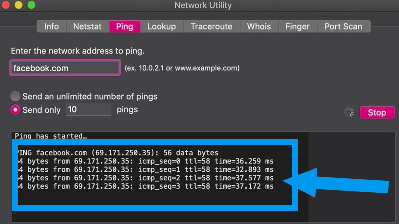 Ping là gì? Cách kiểm tra Ping và đọc thông số kết quả 23 Sử dụng Network Utility