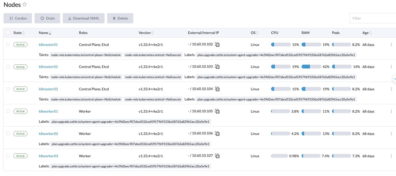 Bạn chỉ cần đưa các command lên chạy ở các node master và worker tương ứng
