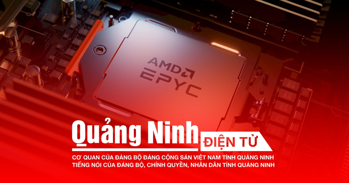 vps amd trên báo quảng ninh