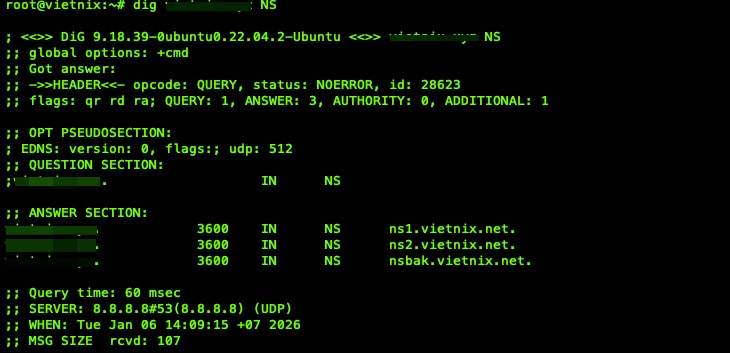 Bạn chạy lệnh để sử dụng công cụ DIG