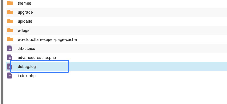 Đọc log lỗi và thông tin debug