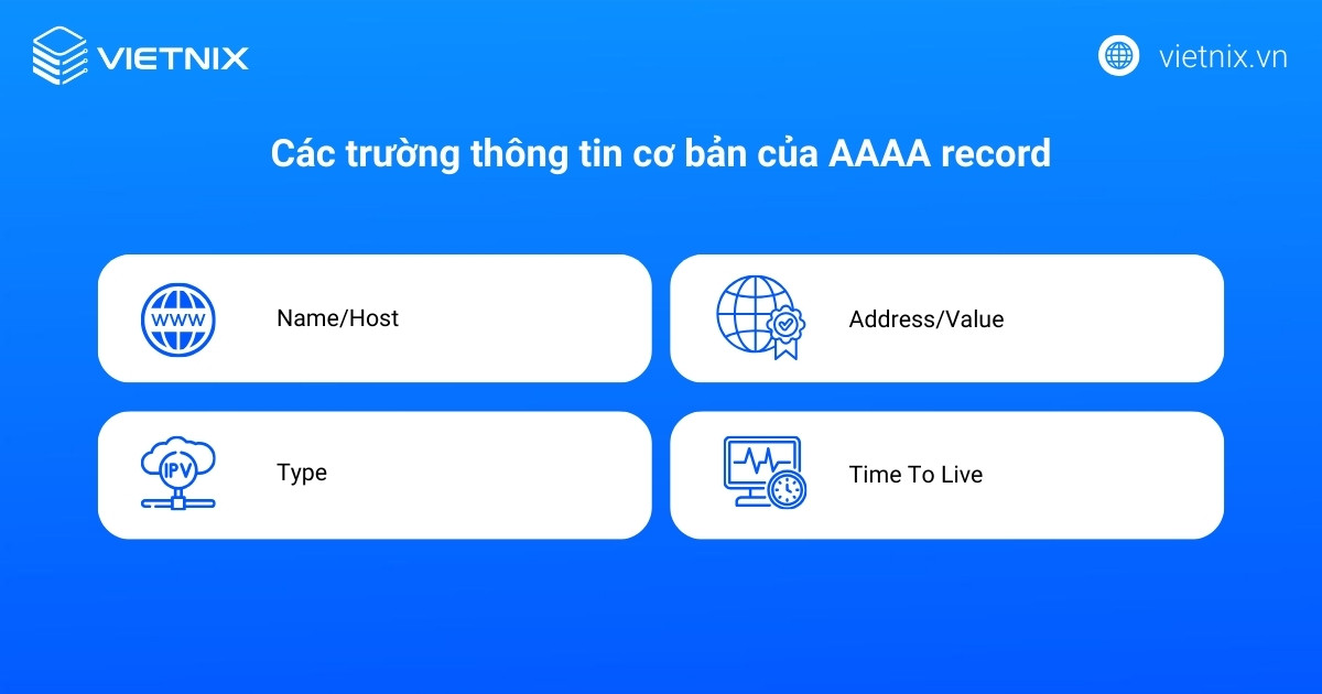 Các trường thông tin cơ bản của một AAAA record