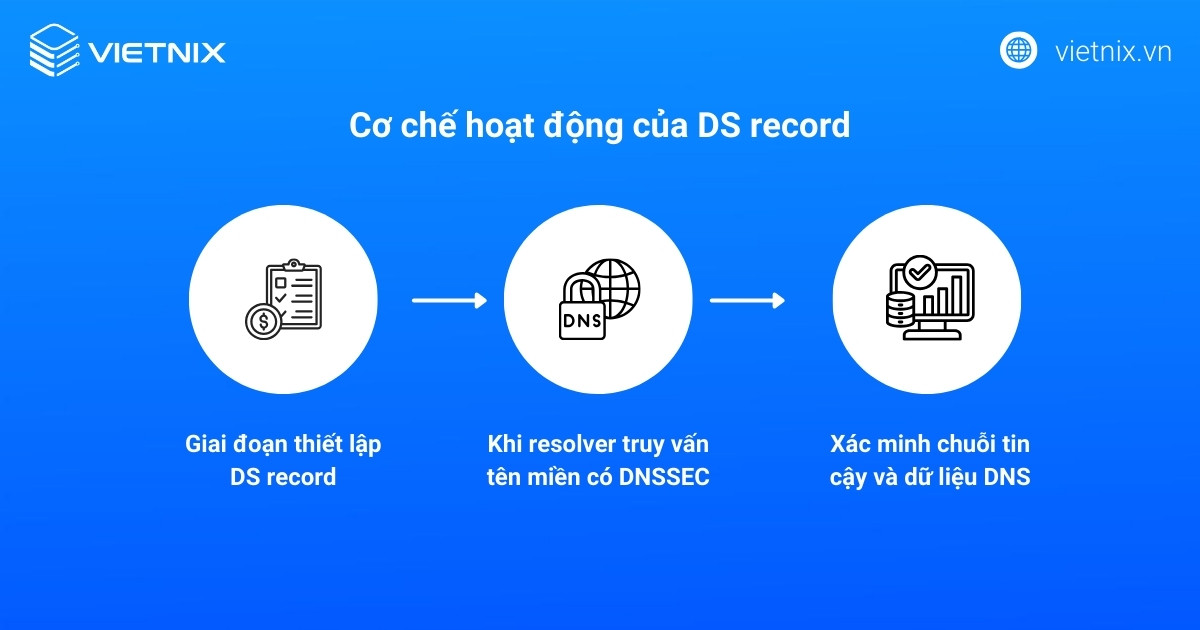 DS record hoạt động như mắt xích xác thực giữa vùng cha và vùng con trong DNSSEC