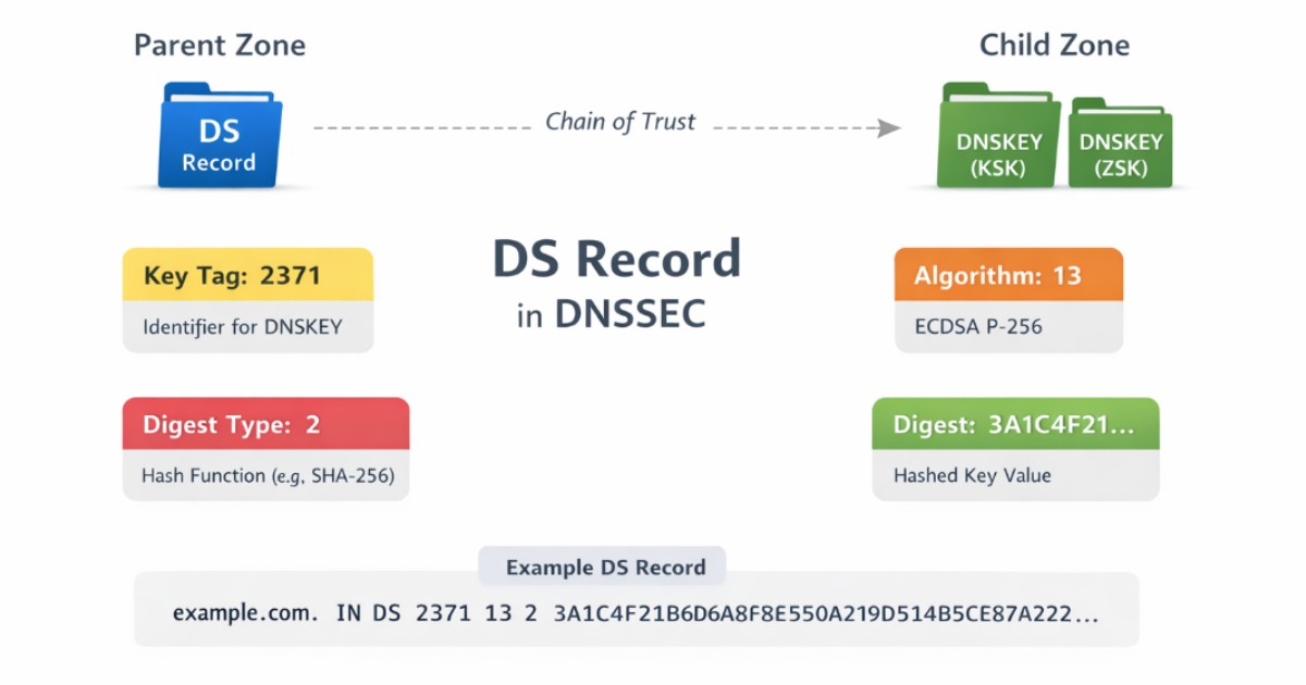ds record 7 1